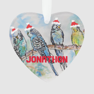 Budgies Budgie Noël Enfants Nom de décoration