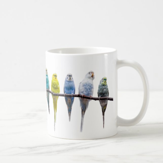Budgies Kaffeetasse (Rechts)