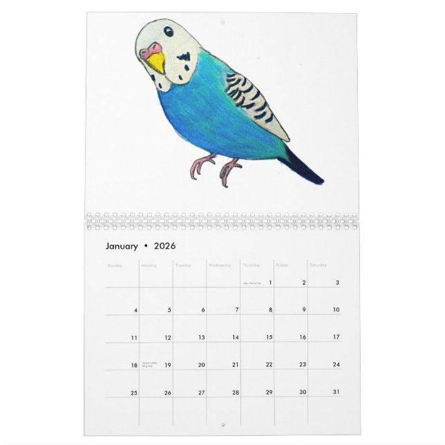 Budgies Kalender (Jan 2026)