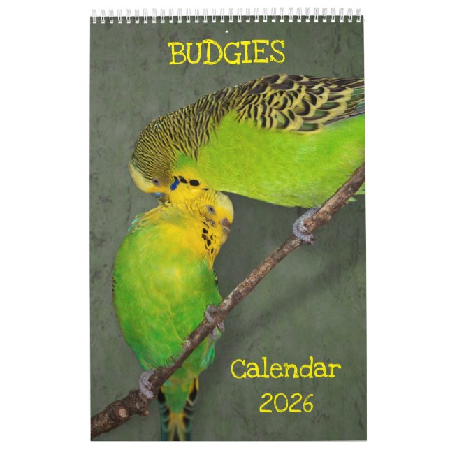 Budgies-Kalender Kalender (Titelbild)