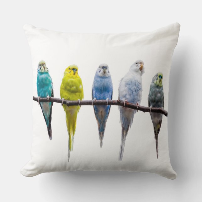 Budgies Kissen (Vorderseite)