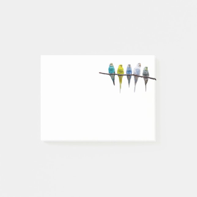 Budgies Post-it Klebezettel (Vorderseite)