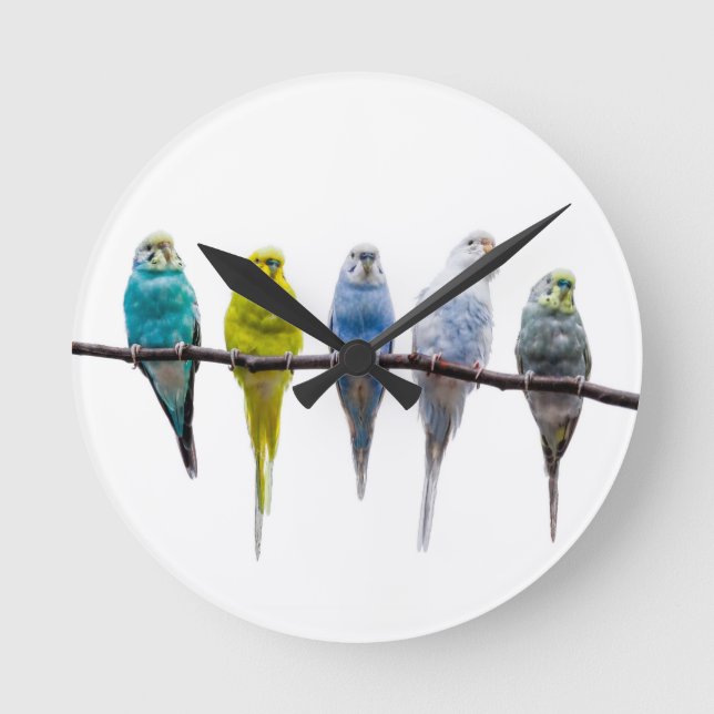 Budgies Runde Wanduhr (Vorderseite)