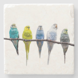 Budgies Steinuntersetzer