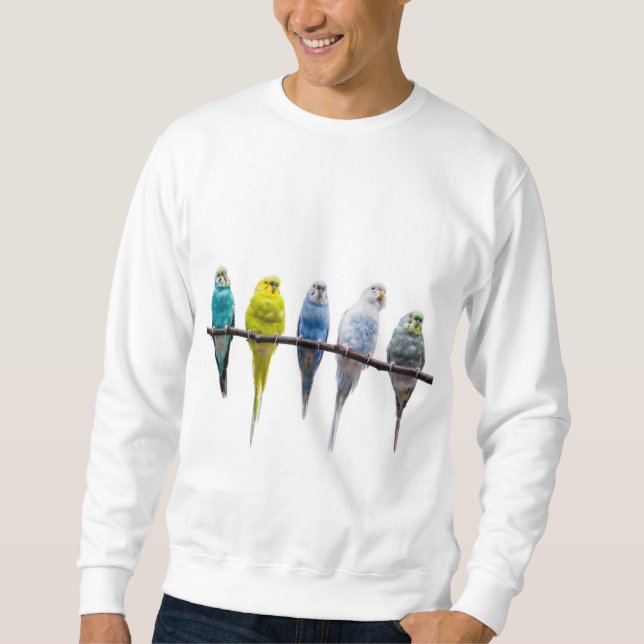 Budgies Sweatshirt (Vorderseite)