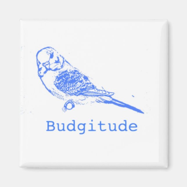 Budgitude Magnet (Vorne)