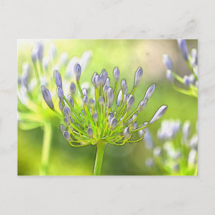 Buds für hübsche Blume Postkarte