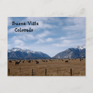 Buena Vista, CO Postkarte