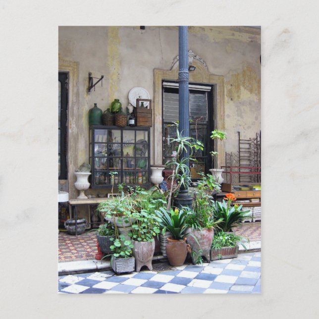 Buenos Aires Szene mit grünen Pflanze im Hof Postkarte (Vorderseite)