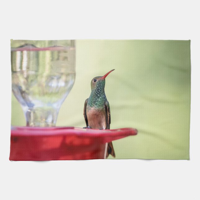 Buff-Bummingbird in Texas Geschirrtuch (Horizontal)