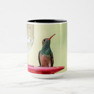 Buff-Bummingbird in Texas Tasse