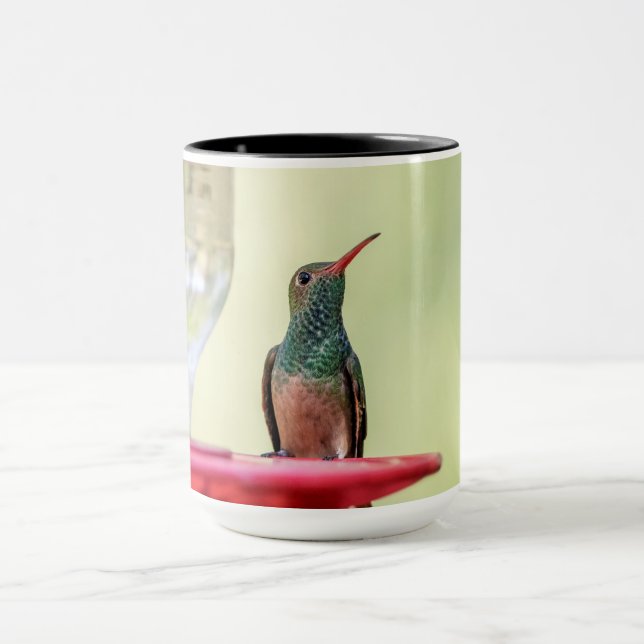 Buff-Bummingbird in Texas Tasse (Zentrum)
