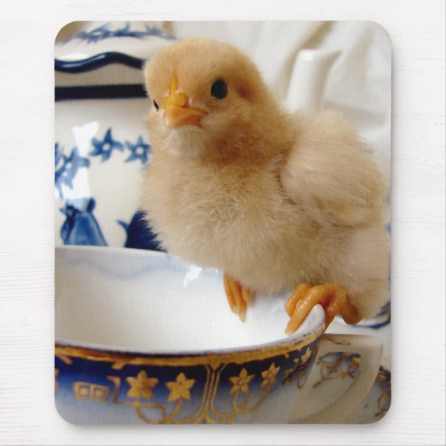 Buff Chick at Tee Mousepad (Vorne)