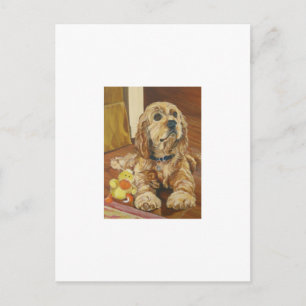 Buff Cocker Spaniel Postkarte