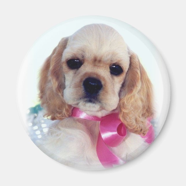 Buff Cocker Welpenmagnet Magnet (Vorne)