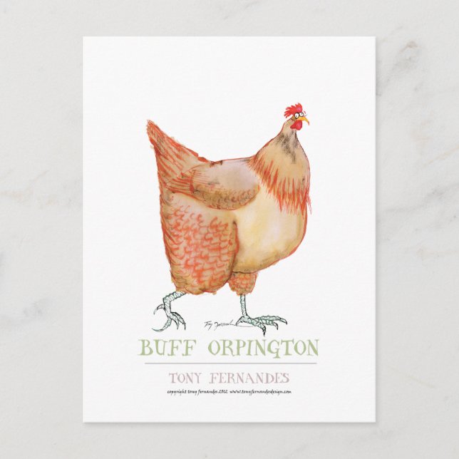 Buff Orpington hen, tony fernandes Postkarte (Vorderseite)