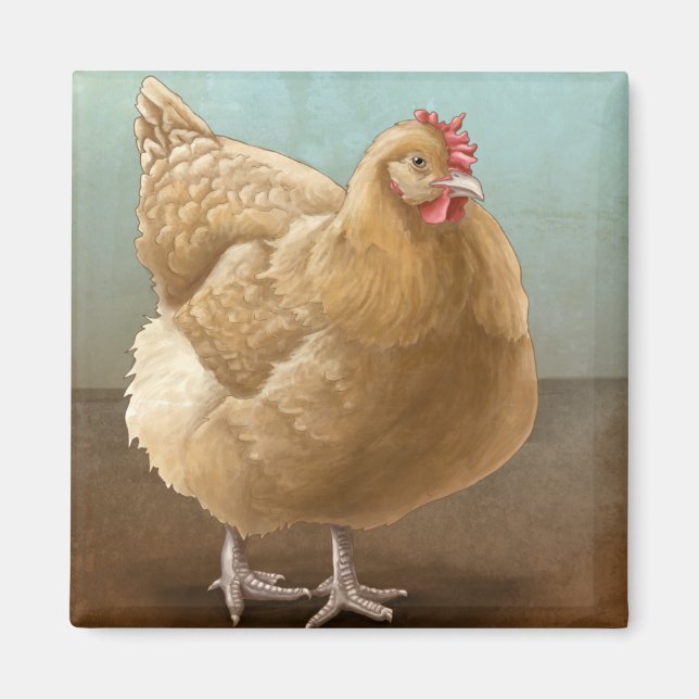 Buff Orpington Magnete Magnet (Vorne)