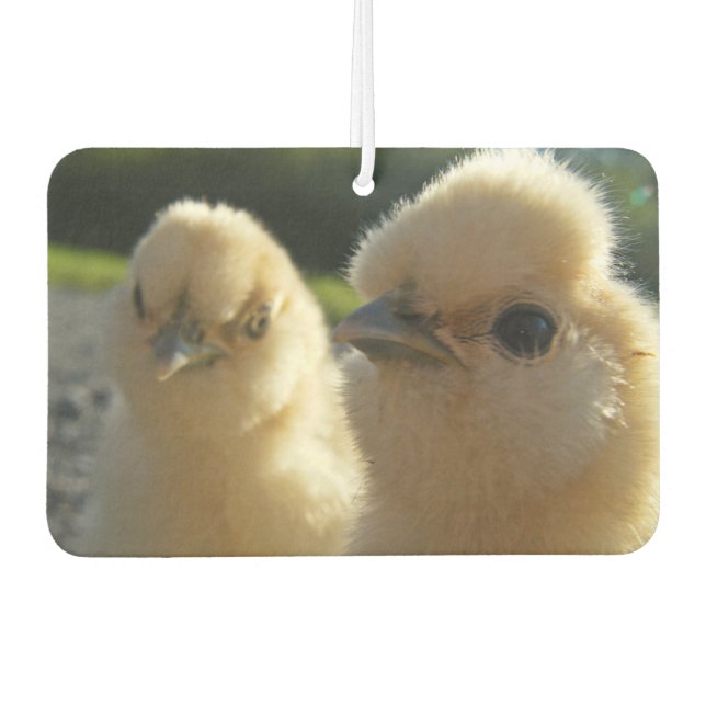 Buff Silkie Chicken Chick Autolufterfrischer (Vorderseite)