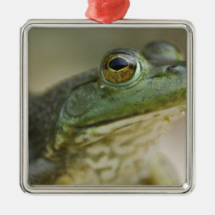 Buffallo National River, Nordwest-Arkansas Ornament Aus Metall