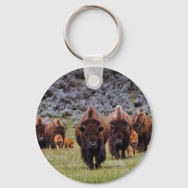 Buffalo 2 schlüsselanhänger (Vorderseite)