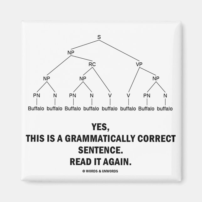 Buffalo (8-mal) Grammatisch korrekter Satz Magnet (Vorne)