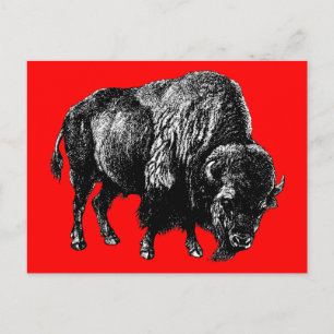 Buffalo American Bison Vintag Wood Gravur Postkarte