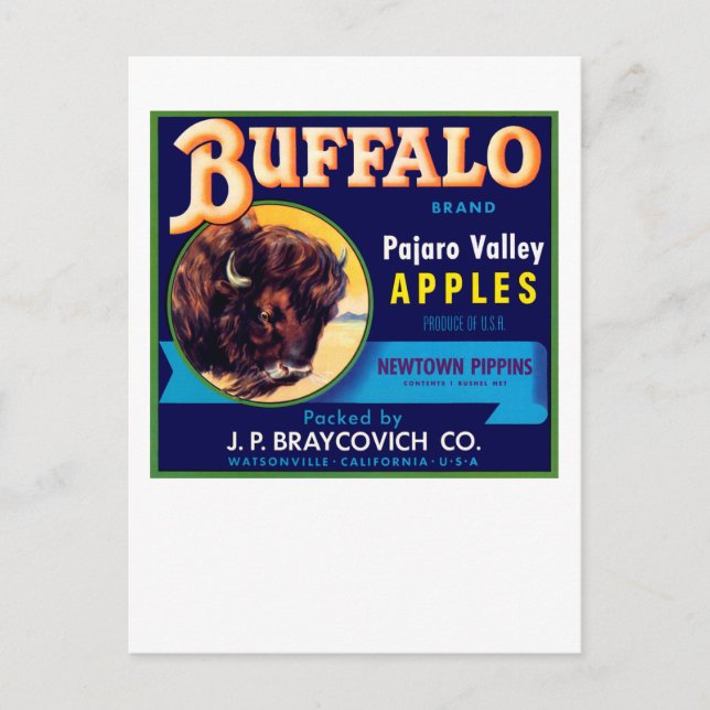Buffalo Äpfel Postkarte (Vorderseite)