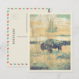 Buffalo auf den Ebenen Amerikas Postkarte