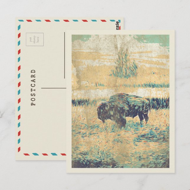 Buffalo auf den Ebenen Amerikas Postkarte (Vorne/Hinten)