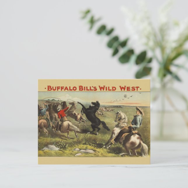 Buffalo Bills wilde Westpferde Postkarte (Stehend Vorderseite)