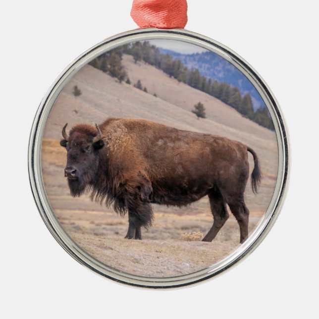 Buffalo Bison Oranment Ornament Aus Metall (Vorne)
