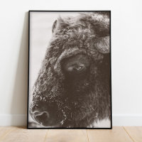 Buffalo Bison Print