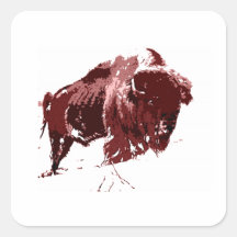 Buffalo - Bison