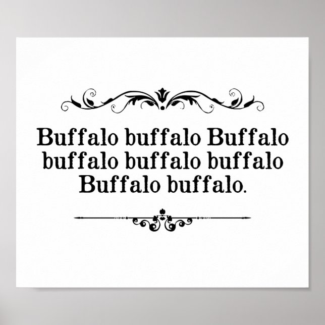 Buffalo Buffalo Sentence Poster (Vorne)