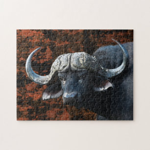 Buffalo bull wilde Tiere Kunst