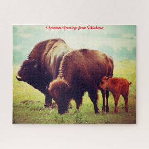 Buffalo & Calf Oklahoma.Weihnachtsgrüße
