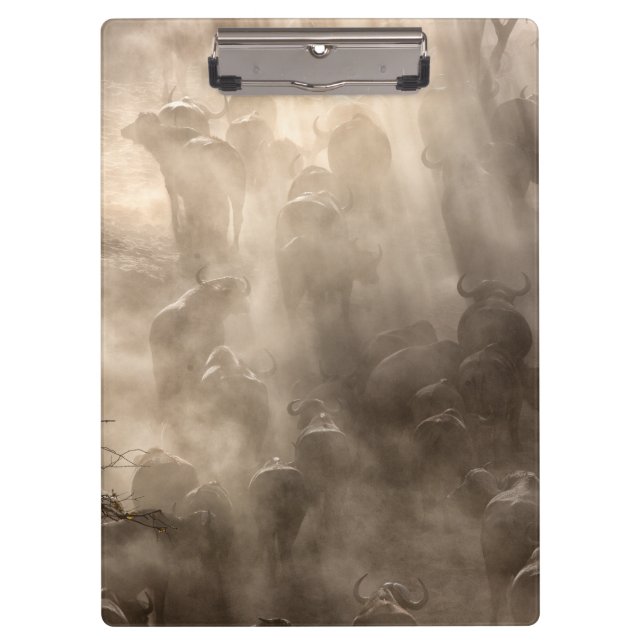Buffalo Dust Klemmbrett (Vorderseite)