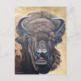 Buffalo Eating Postkarte