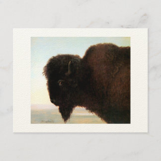 Buffalo Head Art Albert Bierstadt Bison Malerei Ankündigung