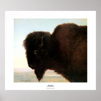 Buffalo Head Art Albert Bierstadt Bison Malerei Poster