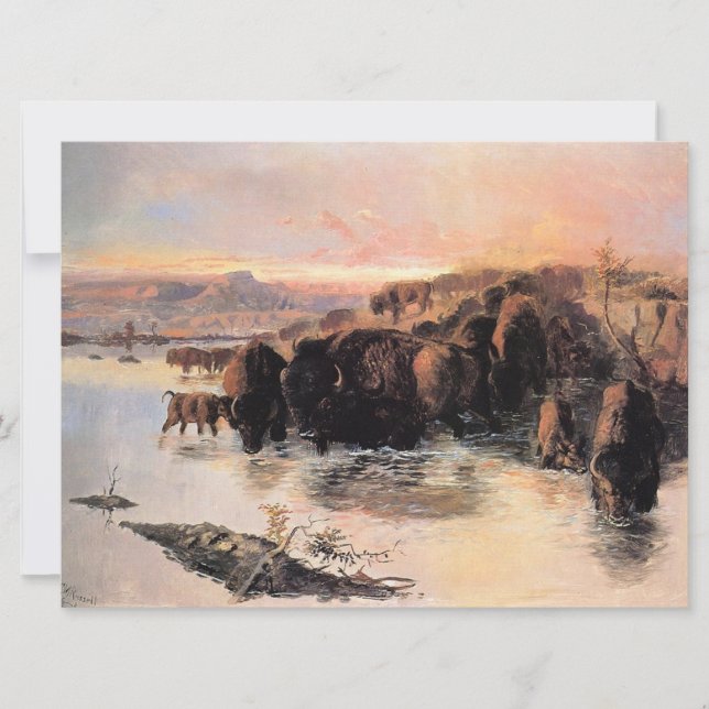 Buffalo Herd Karte (Vorderseite)