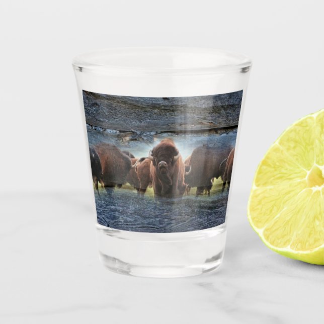 Buffalo Herd Schnapsglas (Vorderseite)