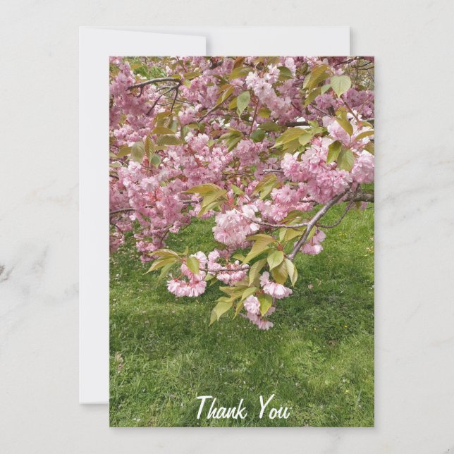 Buffalo Japanischer Garten rosa Kirschblossom Dankeskarte (Vorderseite)