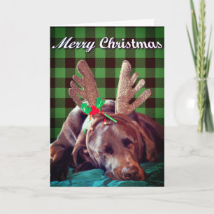 Buffalo Karierte Labrador Wearing Antlers Fotograf Feiertagskarte
