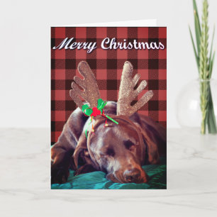 Buffalo Karierte Labrador Wearing Antlers Fotograf Feiertagskarte