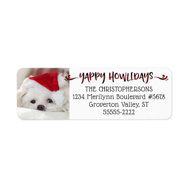 Buffalo Karo YAPPY HOWLIDAYS Dog Foto (Vorne)