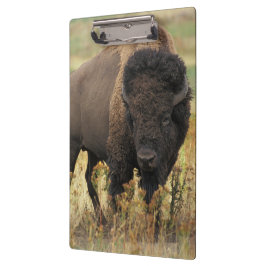 Buffalo Klemmbrett