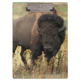 Buffalo Klemmbrett