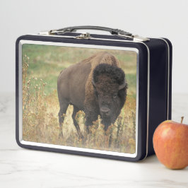 Buffalo Metall Brotdose