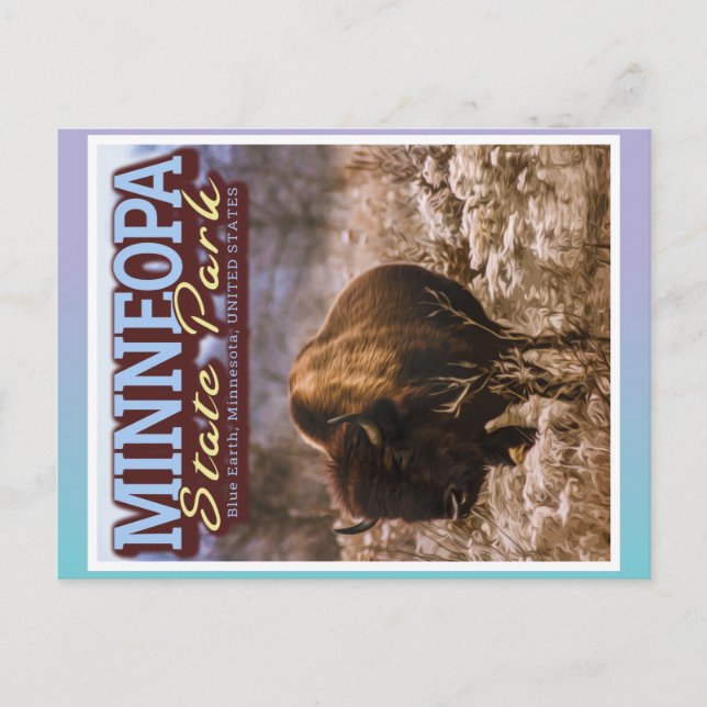 BUFFALO - MINNEOPA STAAT PARK - MINNESOTA USA POSTKARTE (Vorderseite)